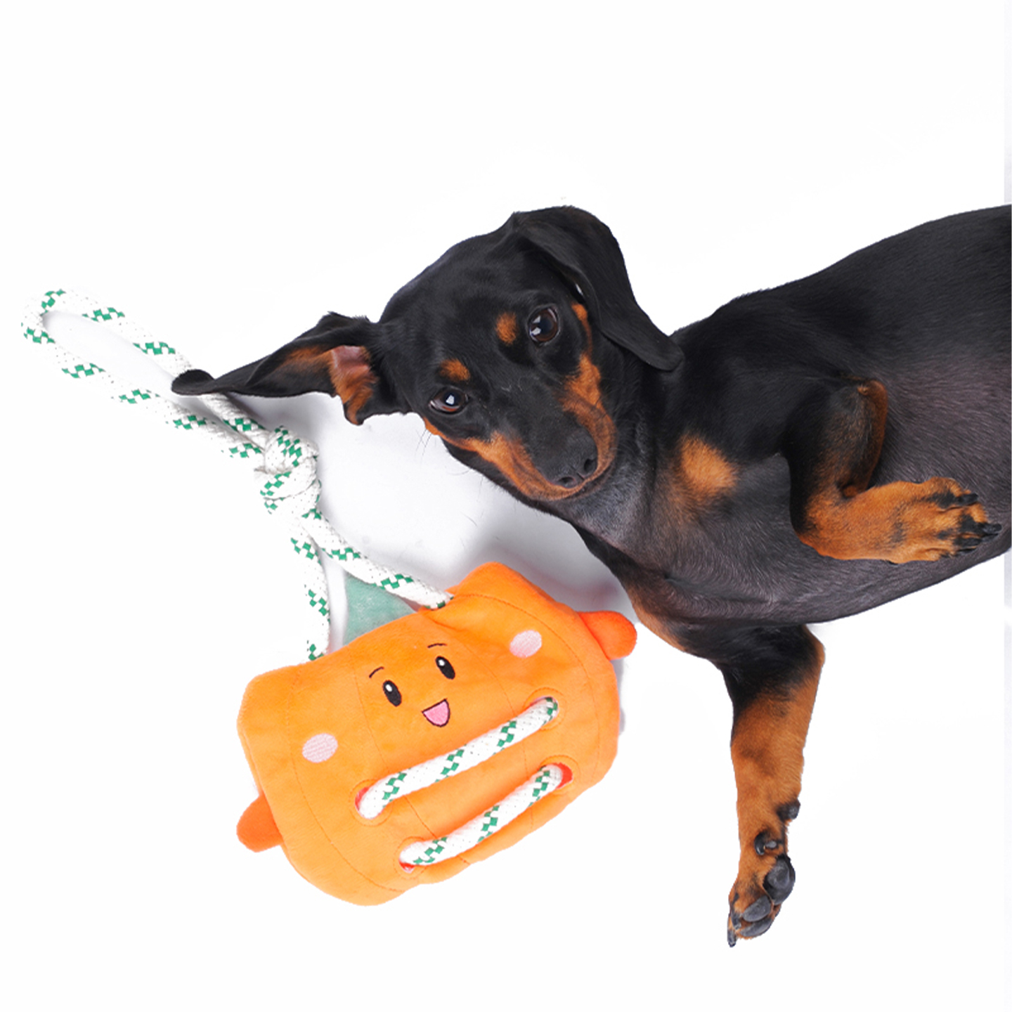 Manufacturer Wholesale Stuffing Free Pumpkin Dog Rope Interact Tug Toy Plush Toy for Dog