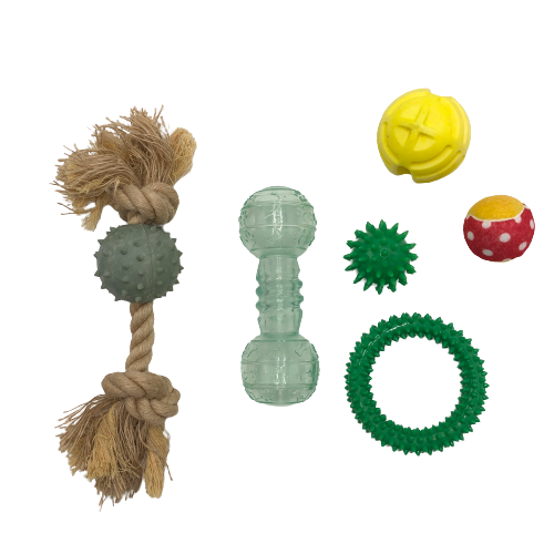 Toy Specimen 2