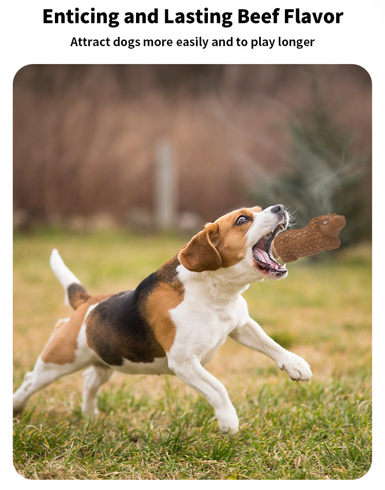 Squeaky Dog Toy for Dental Care and Playtime Adventures