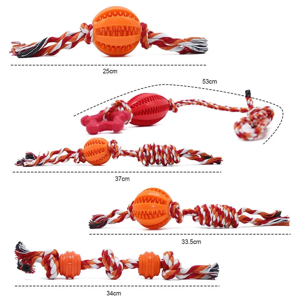 Durable Cotton Rope Dog Toys 10 Pack Gift Set Free Assortment Pet Chew Toy
