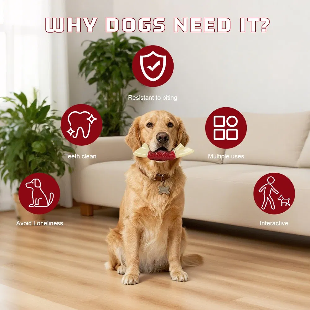 Eco-Friendly Beef Flavour Dog Chew Toys Durable Indestructible Nylon Toy for Aggressive Chewers Non-Toxic Dental Health
