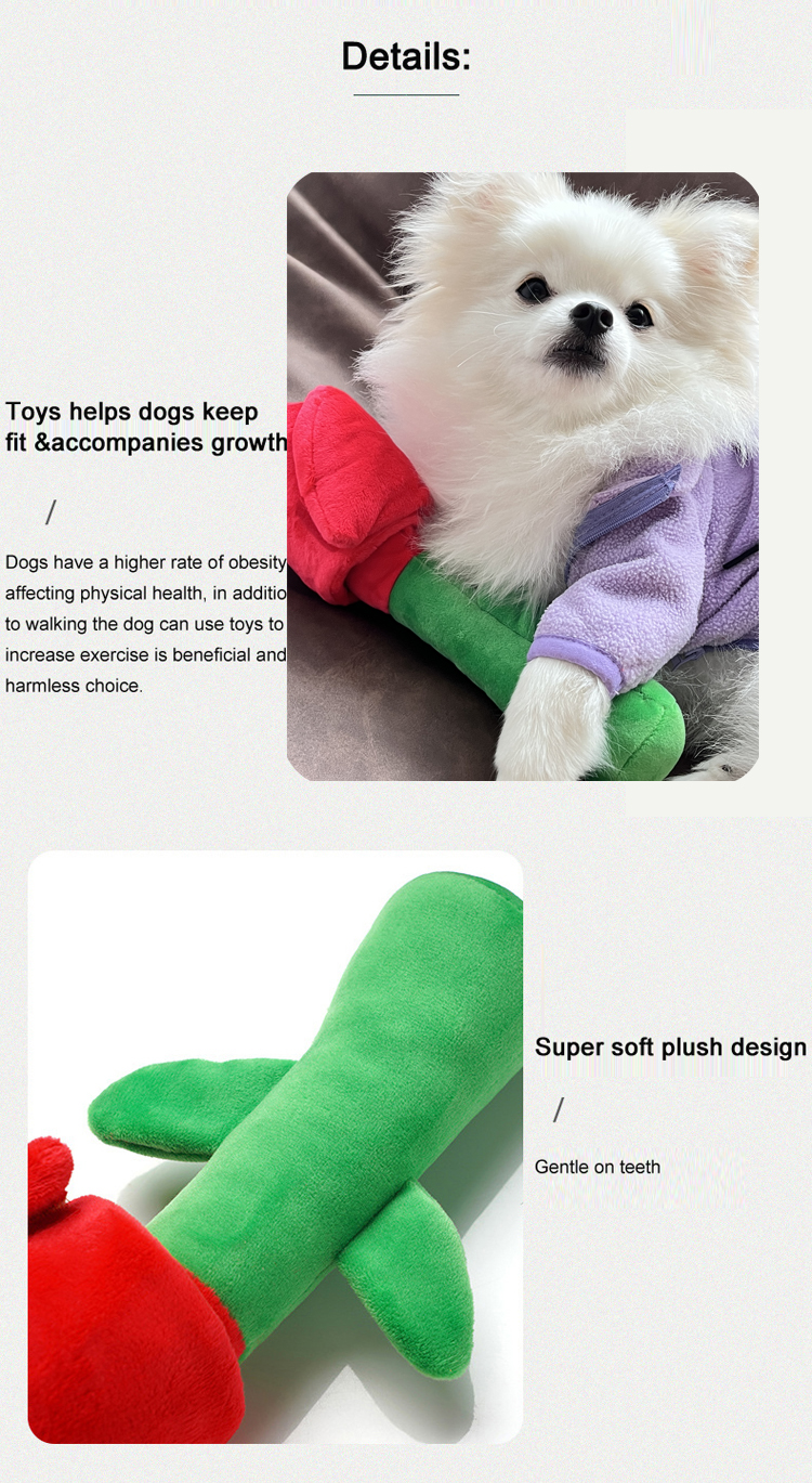 Product Detail 4