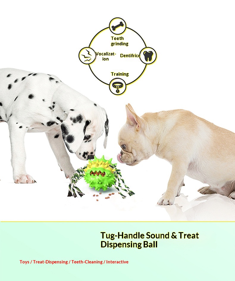 Dog Toy Showcase 7