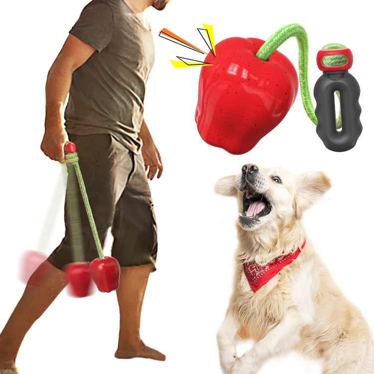 Bestseller Pet Supply Outdoor Interactive Teeth Cleaning Apple Dog Toy