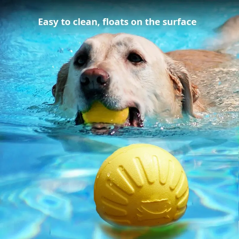 Floating Rope Training Ball for Dogs Outdoor Interactive Eco-Friendly EVA Pet Pull Ring Toy Bite-Resistant Teething Dog Ball
