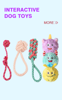Recommended Toy 4