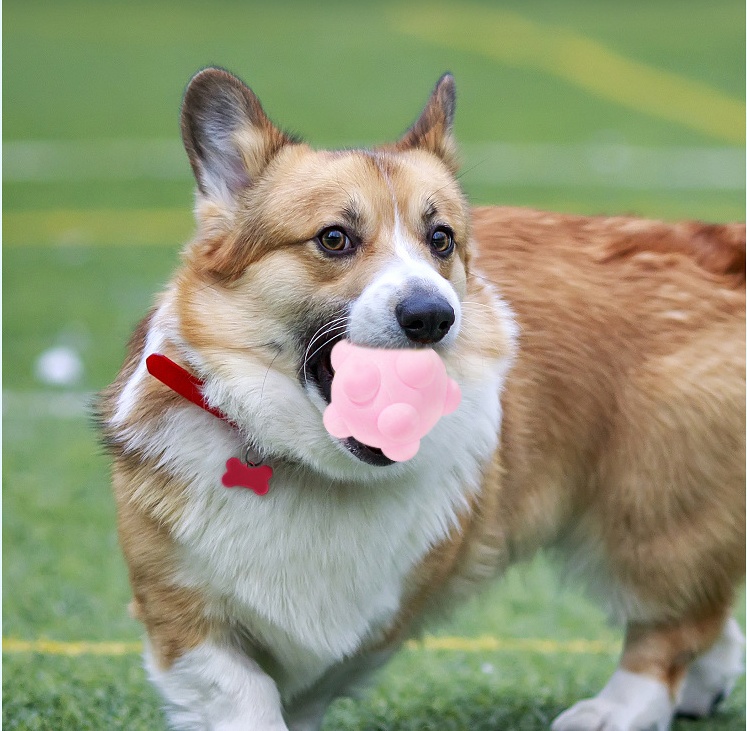 Floating dog ball
