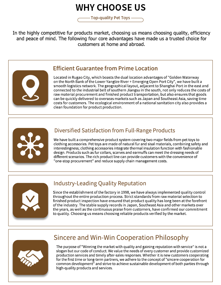 Why Choose Us Details