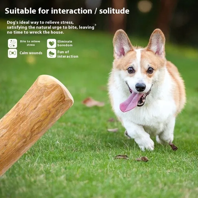 Dog Chew Toy 100% Coffee Wood Eco-Friendly Dental Chew for Dogs Durable Interactive Teeth Cleaning Exercise Toy