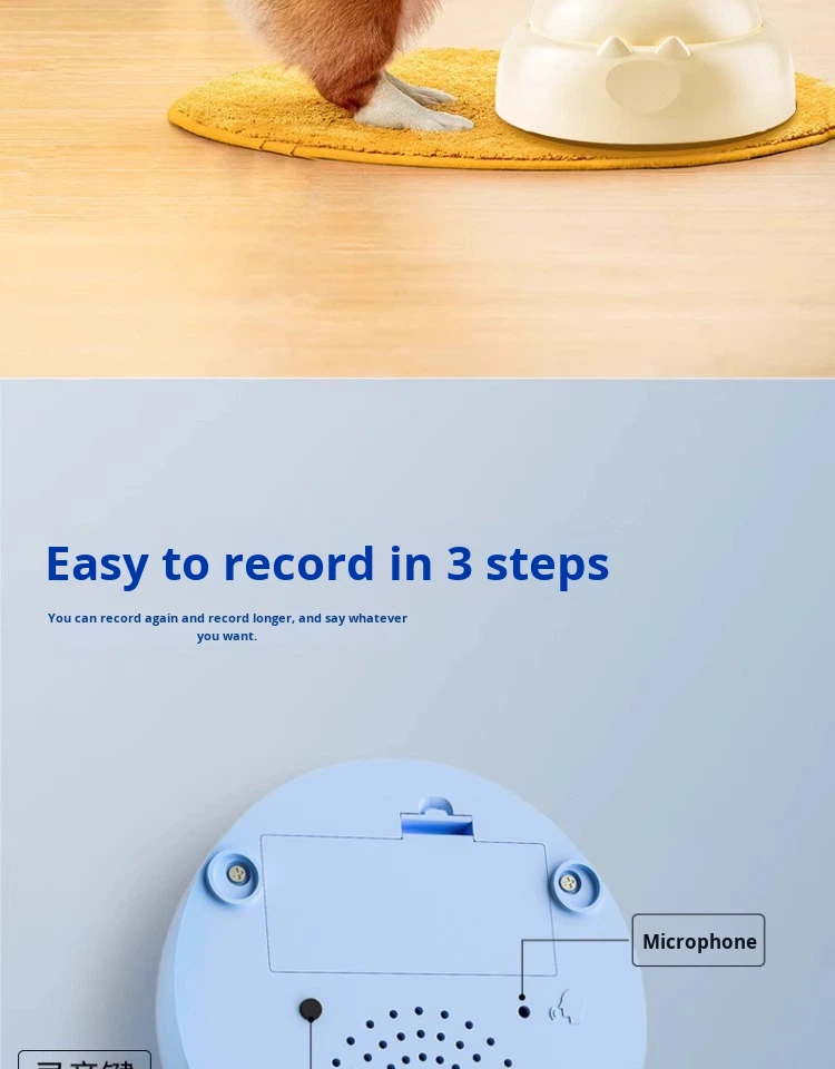 Pet Sound Recording Set Box
