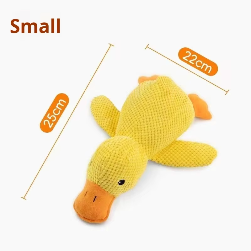 Product Showcase 5