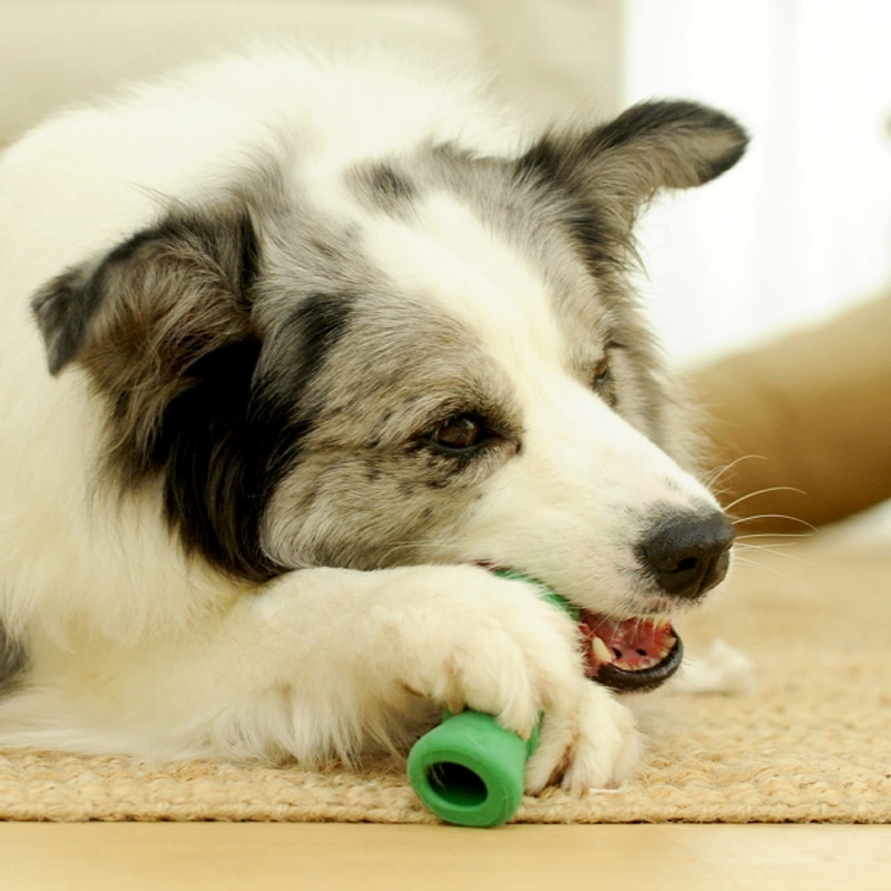 China Manufactory Private Label Treat Dispensing Tough Dog Toys for Aggressive Chewers Natural Rubber Bone Green L