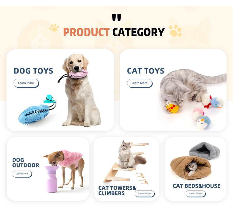 Category Categories