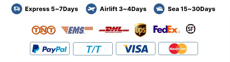 Payment Support