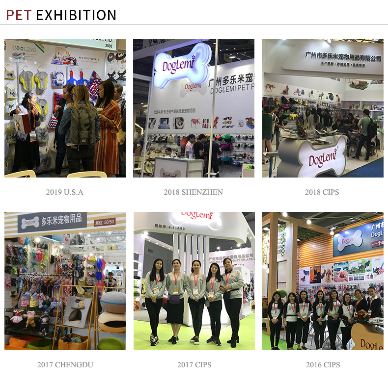 Exhibition Show
