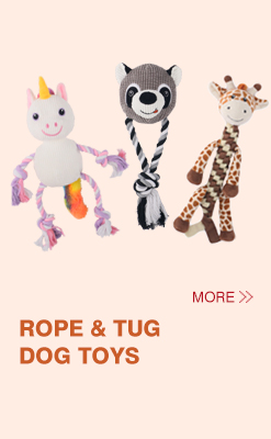 Recommended Toy 6