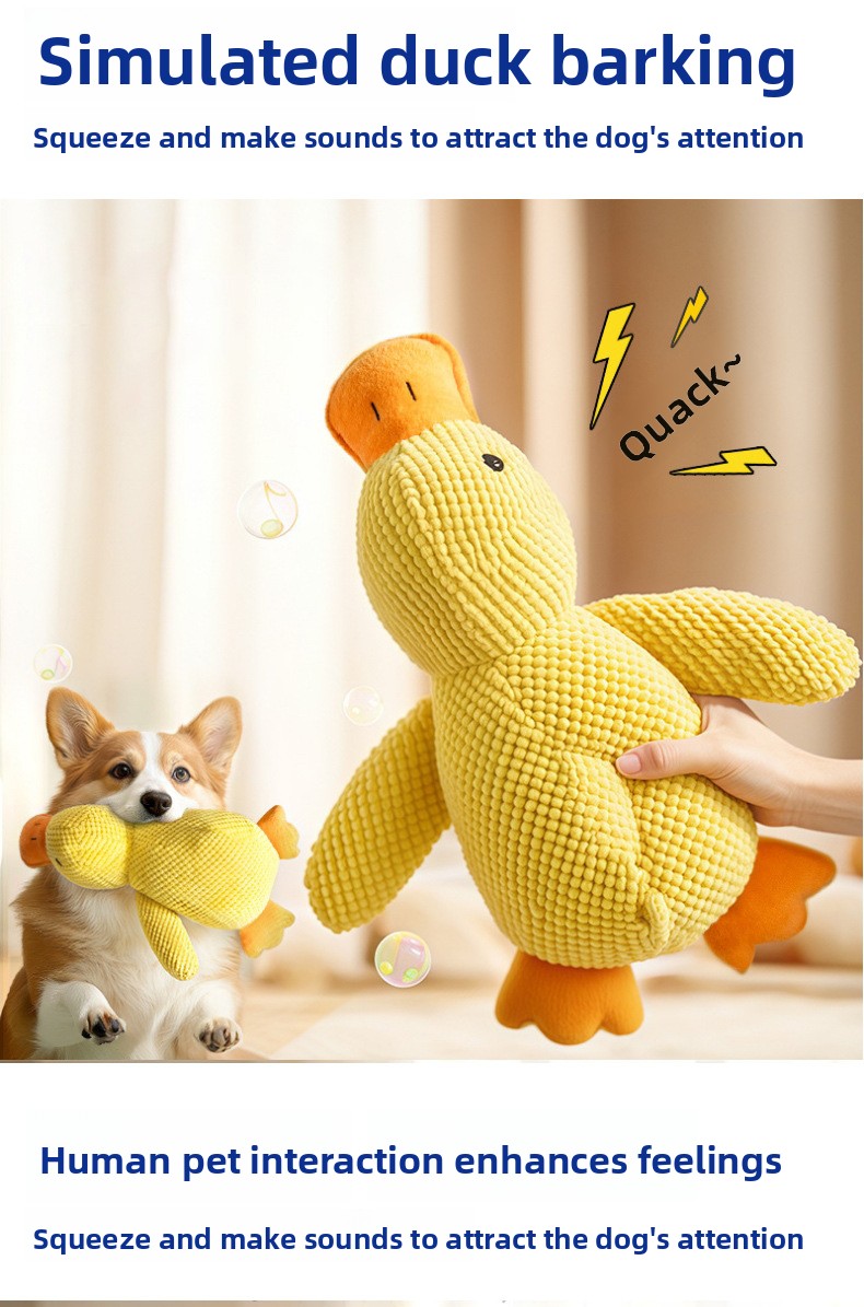 Pet Product View 2