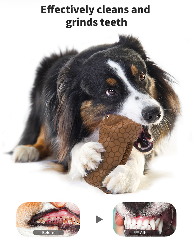 Squeaky Dog Toy for Dental Care and Playtime Adventures
