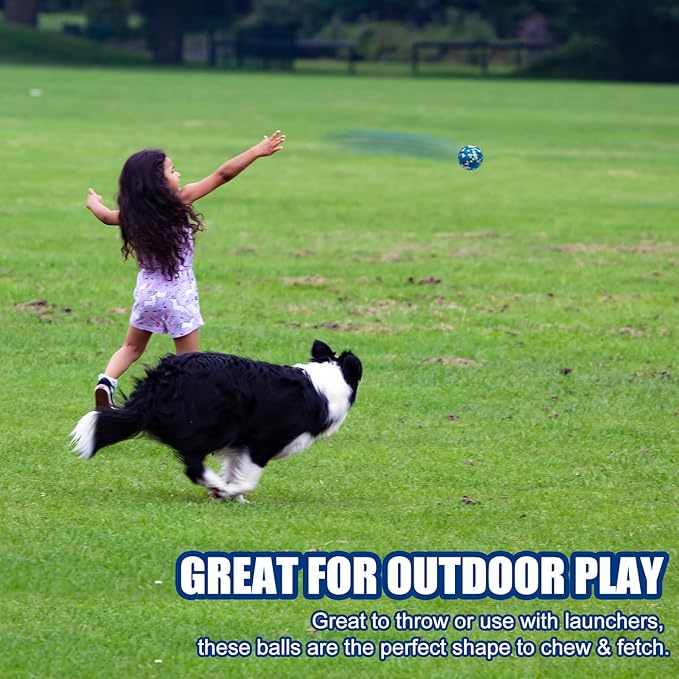 Brightly Colored Floating Rubber Dog Toy for Fun Outdoor Play