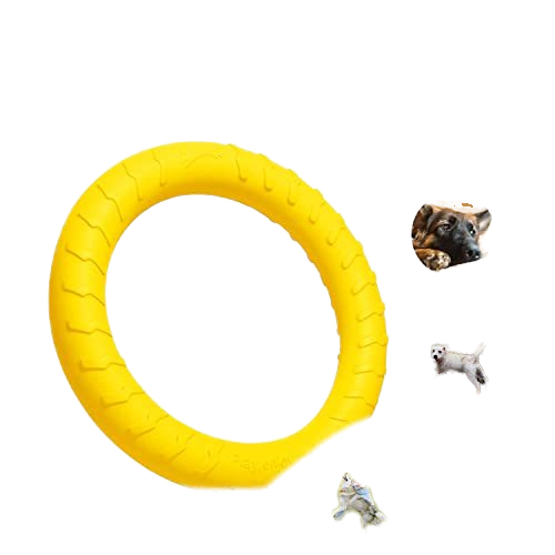 Eco-Friendly Modern Outdoor Training Floating EVA Dog Flying Disc Interactive Pet Toy