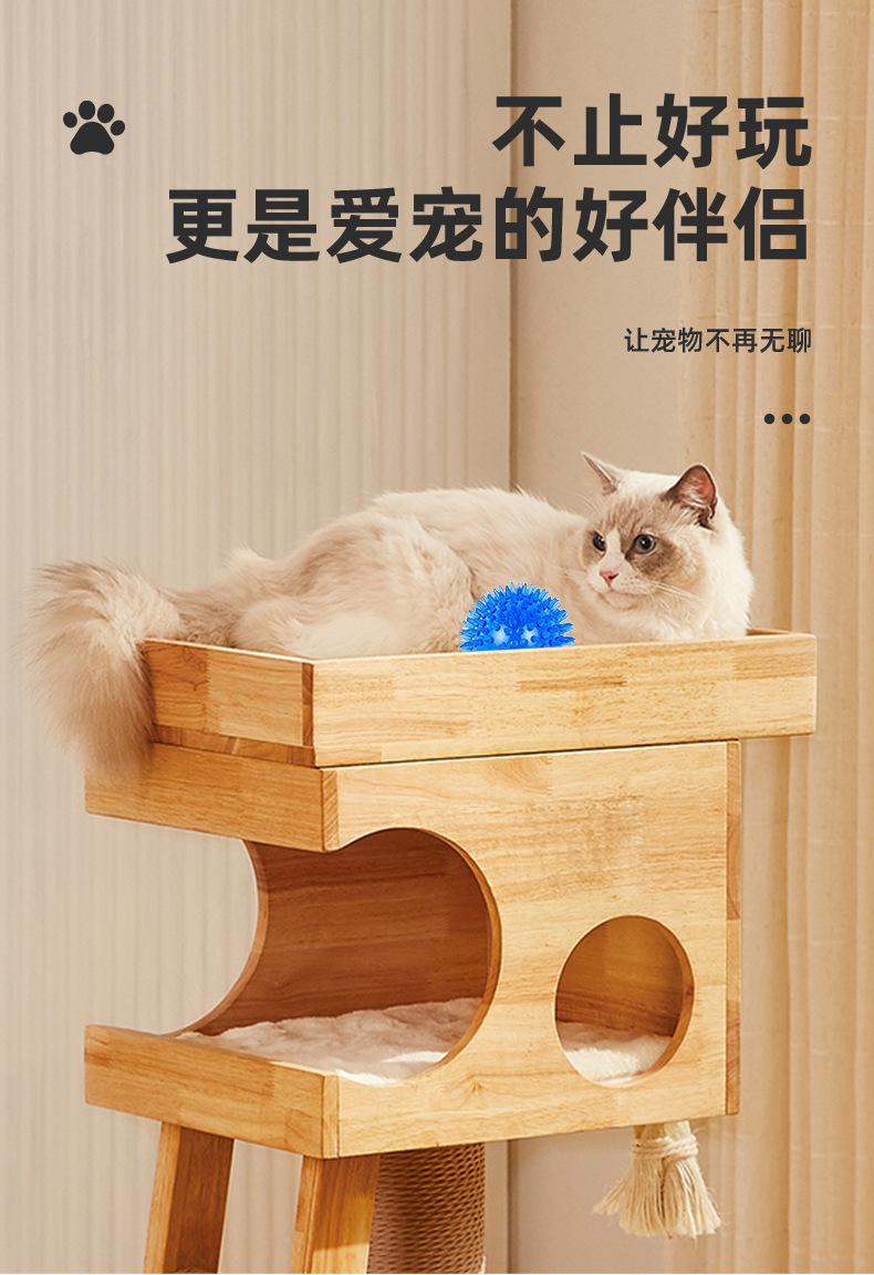 Dog Toy Image