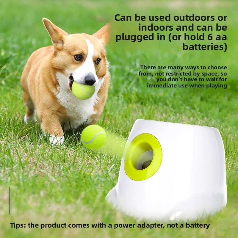 Luxury Interactive Cute Training Dog Cat Tug Toy Automatic Easy Clean Long Lasting Launcher Border Collie Playtime Made TPR Bee