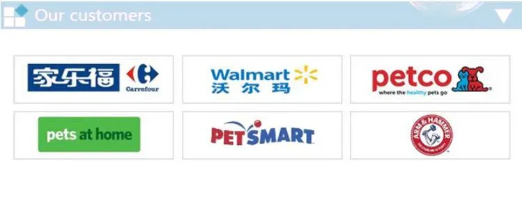 Dental Cleaning Interactive Puppy Dog Chew Toys Teething Training Toy