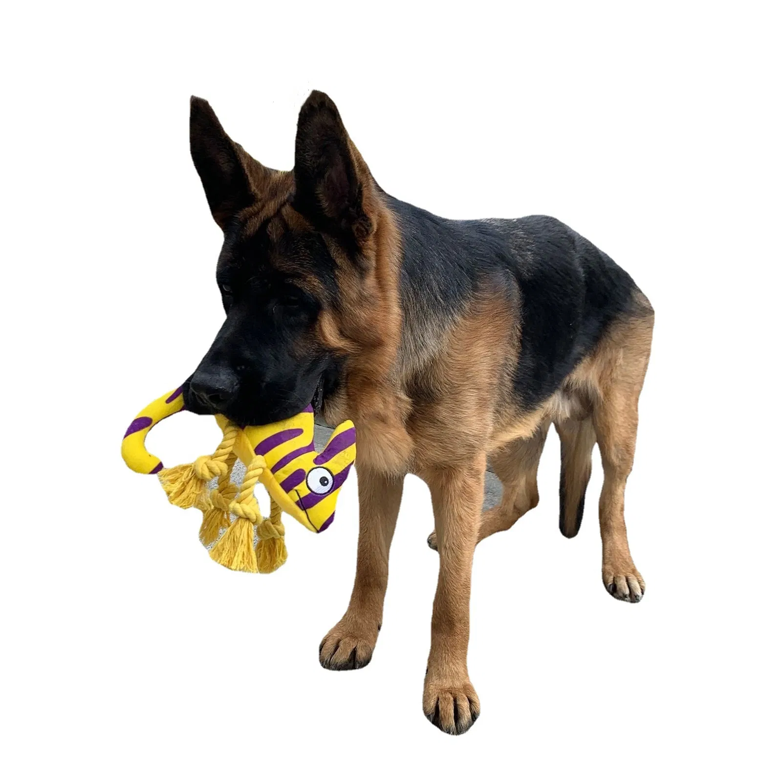 Lizard Strip Colorful Plush Wholesale Factory Pet Gift Dog Toy with Rope