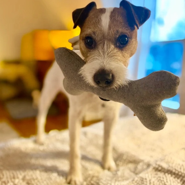 Interactive Dog Bone Toy Sustainable Tug and Chew Toy Encouraging Movement and Play for Pets