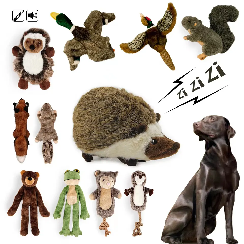 Classic Squeaky Toys