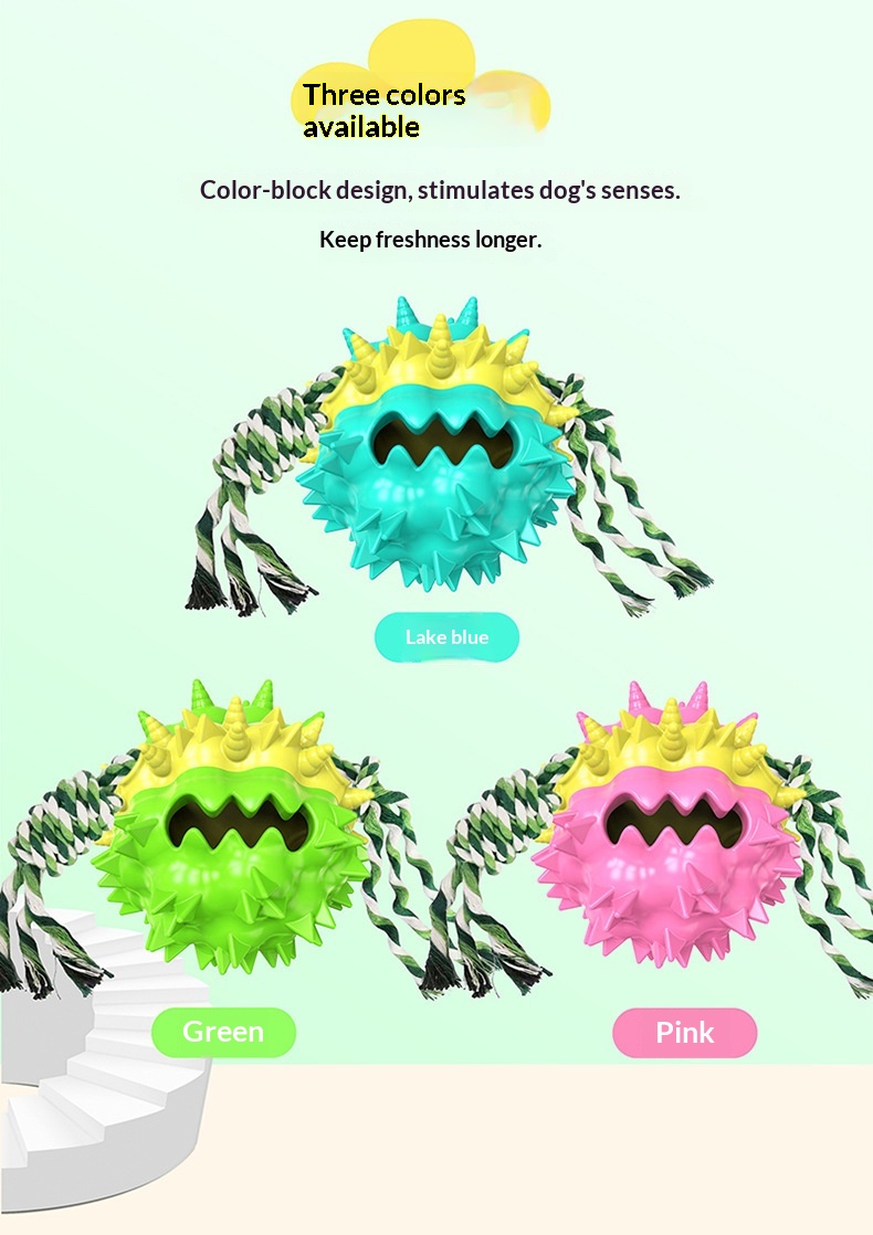 Dog Toy Showcase 3