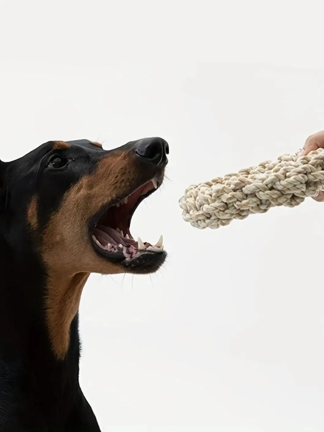 Wholesale Durable Interactive Chew Bite Resistant Circular Ring Shape Dog Rope Toy