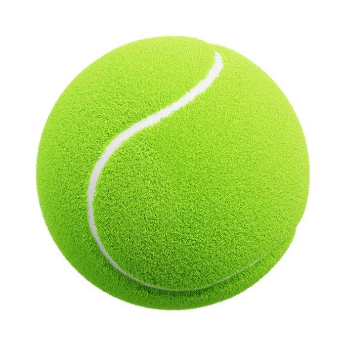Outdoor Big Dog Toy with Bite-Resistant Cloth Material and Rubber Inner