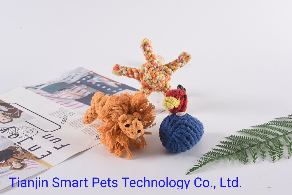 Hot Sale Colorful Chewing Rope Pet Dog with Toy Manufacturer