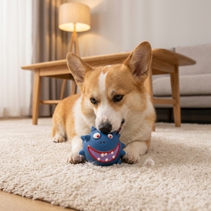 Floating Squeaky Cute Waterproof Latex Spiky Ball Dog Chew Toy for Swimming Pool Fun