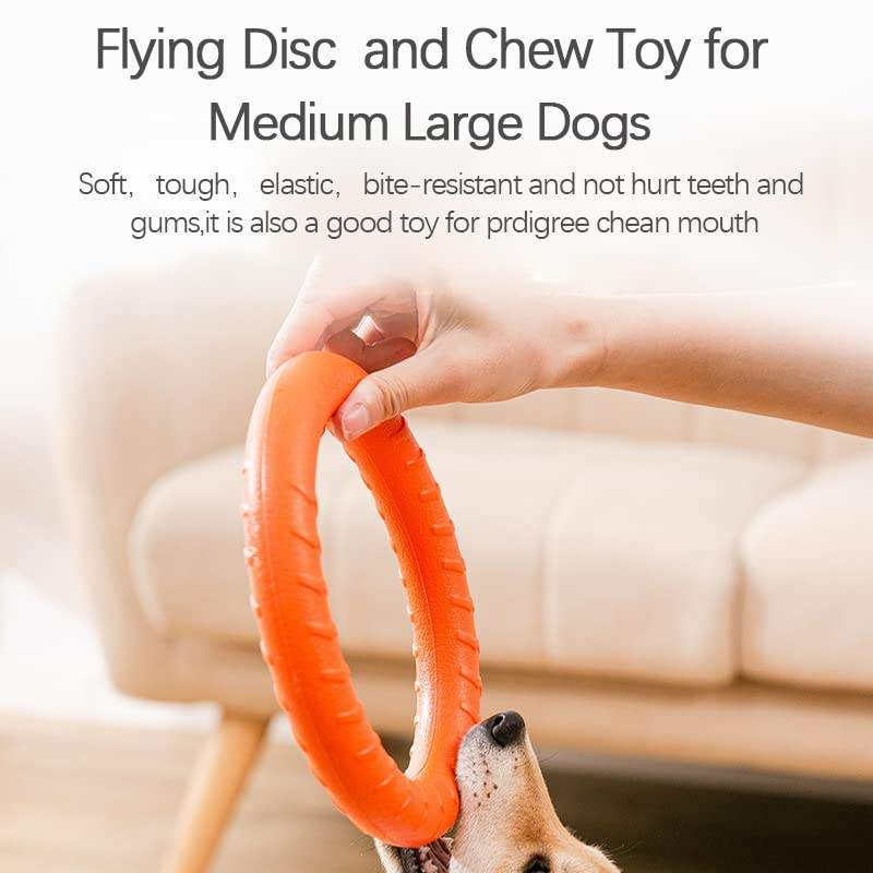 Factory Direct Supply Non Toxic EVA Tug Ring Pet Chew Toys Interactive Dog Toy for Obedience Training Tug of War