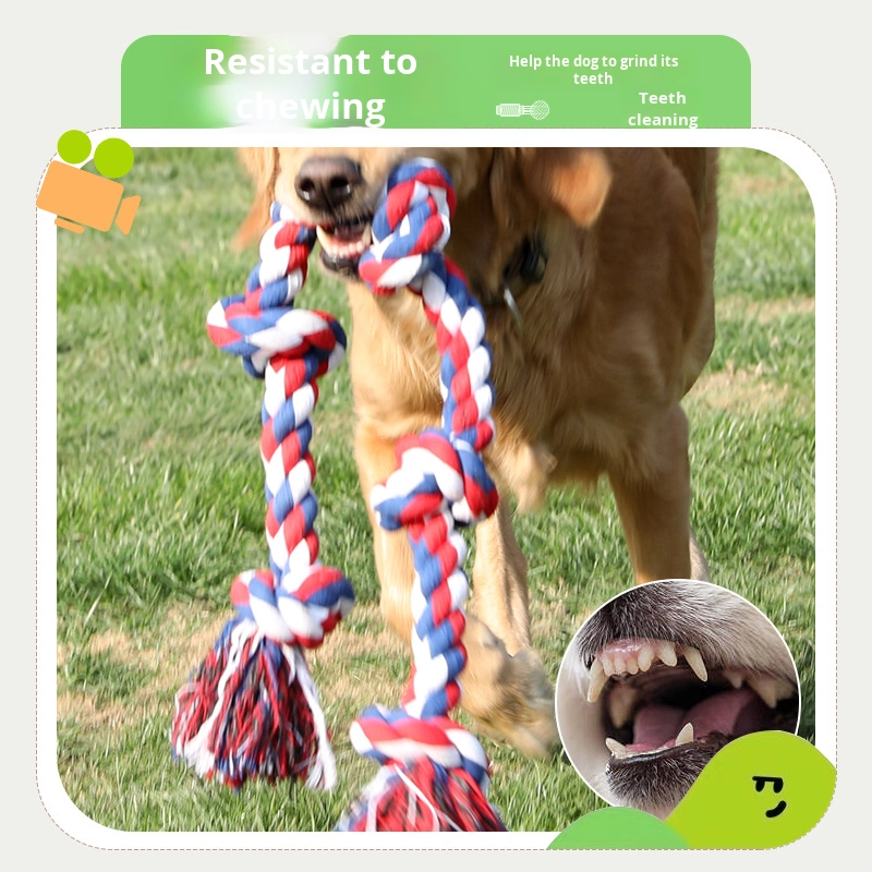 Hot Selling Eco-Friendly Cotton Dog Rope Toys 5 Knots Tug War Indestructible Aggressive Chewers Luxury Medium Large Dogs Modern