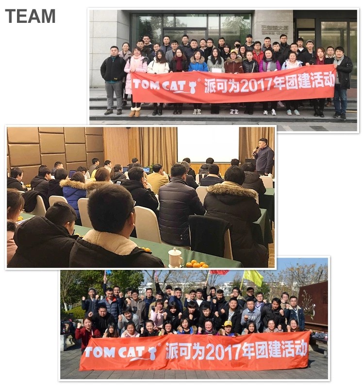 Company Showcase 2