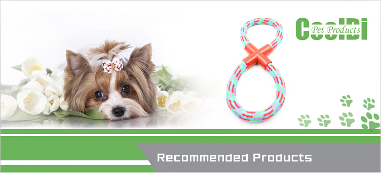 Pet Toy Detail 1