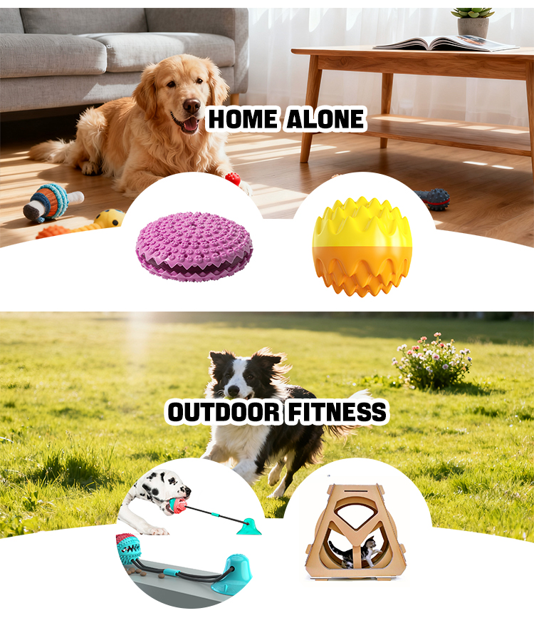 Pet Product Showcase 5
