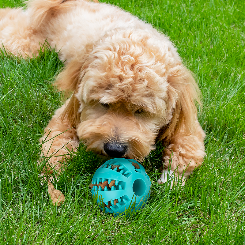 Rubber Pelota Para Perros Chew Toys Ball Pet Supplies Dog Food Treat Feeder Dispenser and Tooth Cleaning Juguetes Para Perros