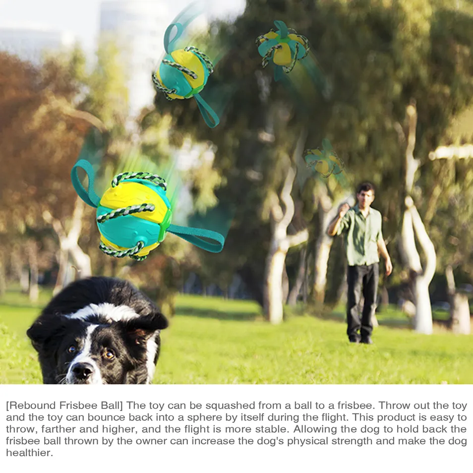 Pet Supplies Outdoor Frisbee Interactive Soccer Training Dog Toys