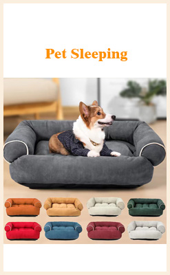 Dog Toy Color Options 2