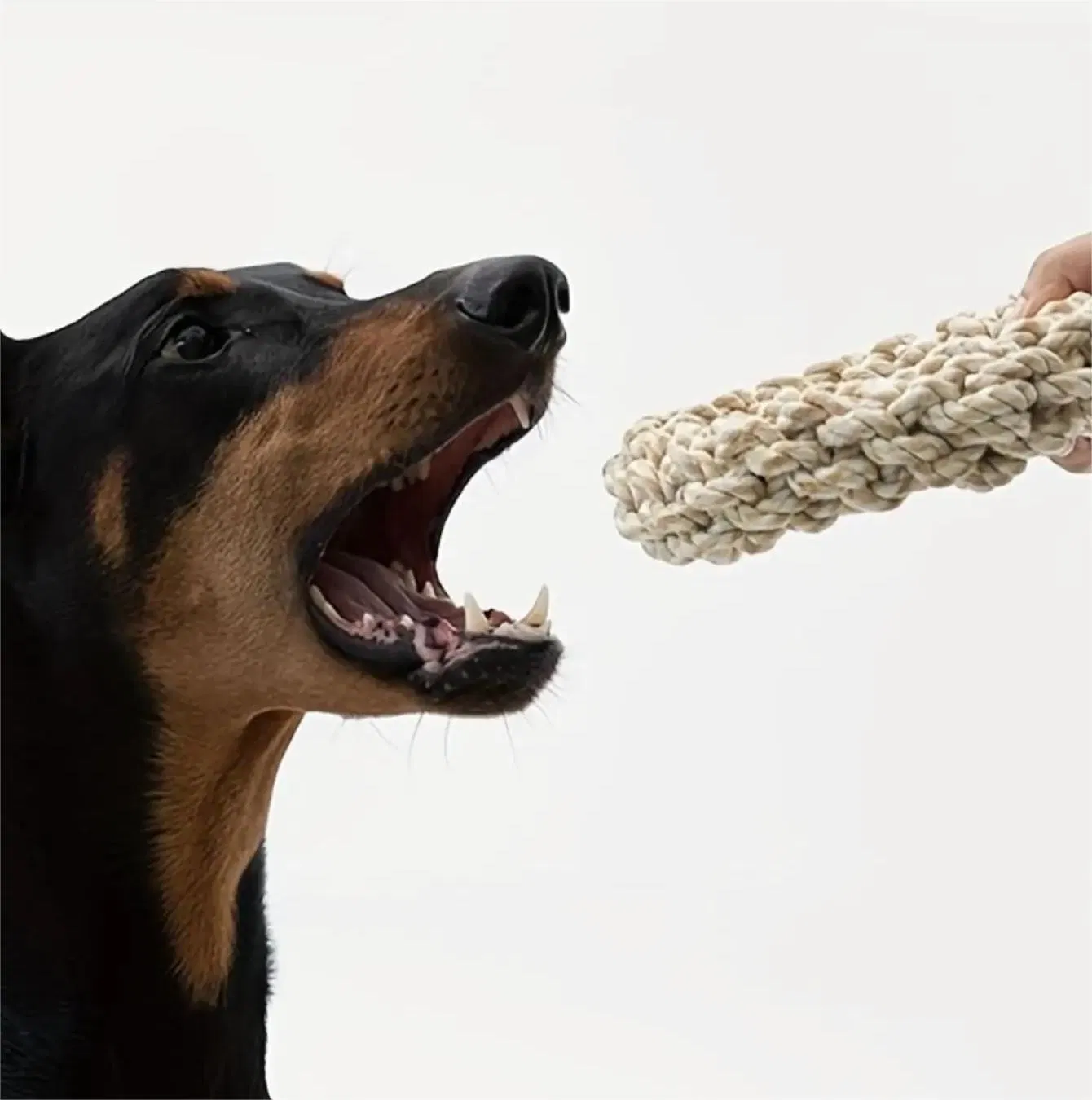 Wholesale Durable Interactive Chew Bite Resistant Circular Ring Shape Dog Rope Toys