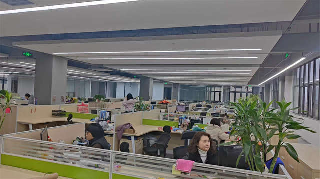 Squeaky dog toys and plush puppy toys - OEM pet toy production China
