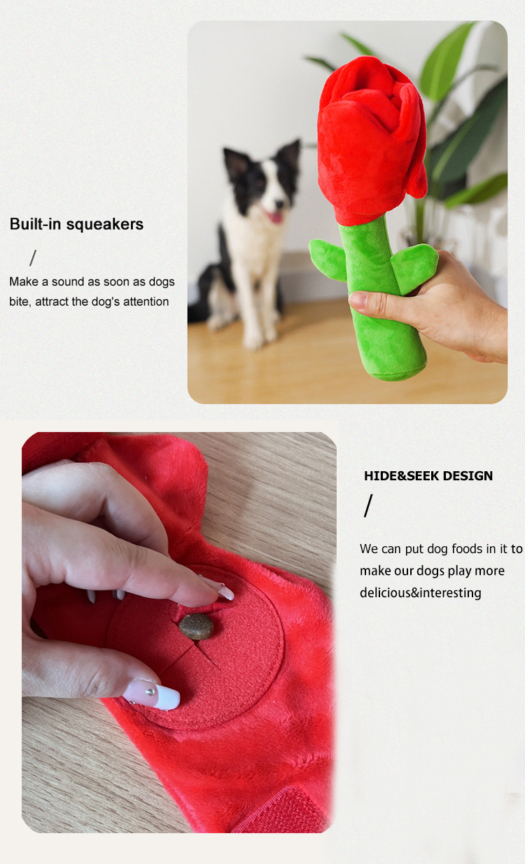 Product Detail 6