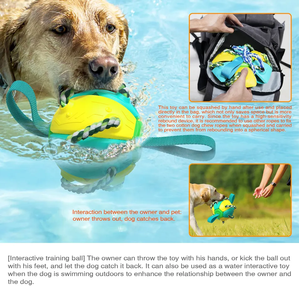 Pet Supplies Outdoor Frisbee Interactive Soccer Training Dog Toys
