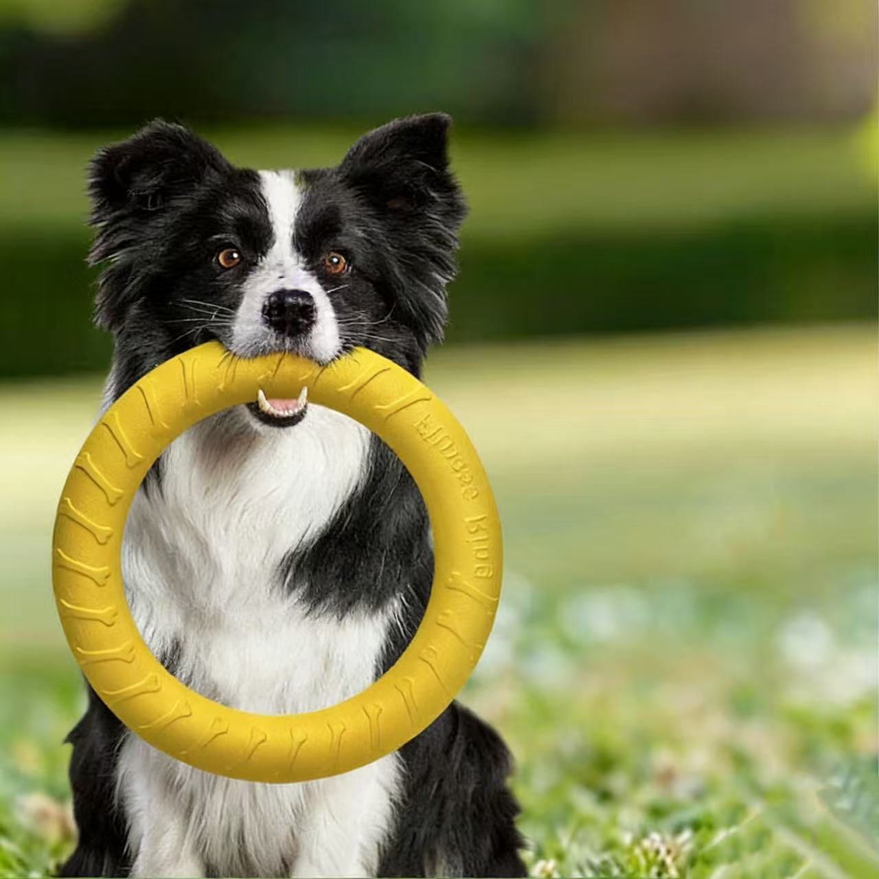 EVA Eco-friendly Dog Play Chew-Resistant Boredom-Relief Toy for Large Dogs (Border Collie Golden Retriever Puppy) Model LH-1