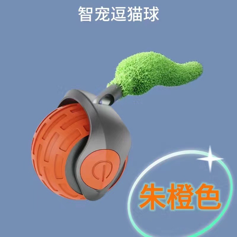 Indoor pet training toy