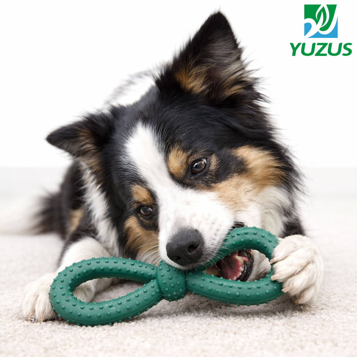 Rubber 8 Figure Teeth Cleaning Dog Dental Chew Toy Rubber Dog Chew Toy 8 Figure Dog Chew Toy